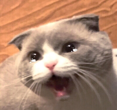 搞怪头像