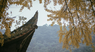 幸得识卿桃花面，从此阡陌多暖春