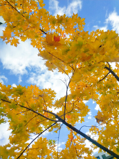 南宫迎宾路的日子