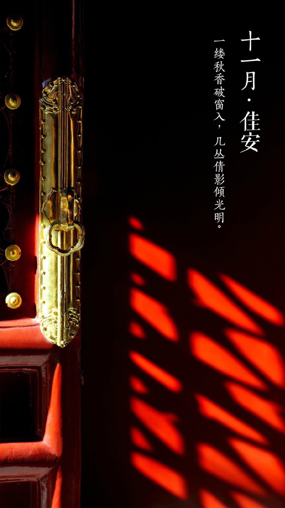 11月