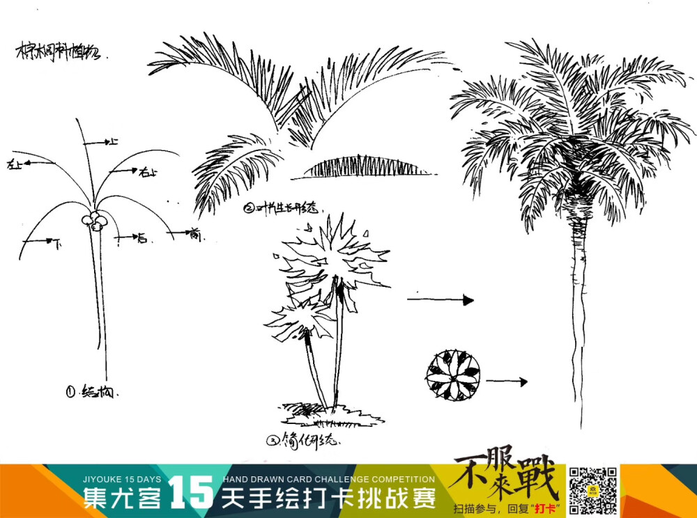 #集尤客教育
昨日日打卡 Day2《景观植物单体讲解》
ps:附上昨日课稿
