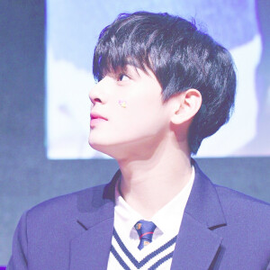 堆糖:不是你男友