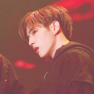 堆糖:不是你男友