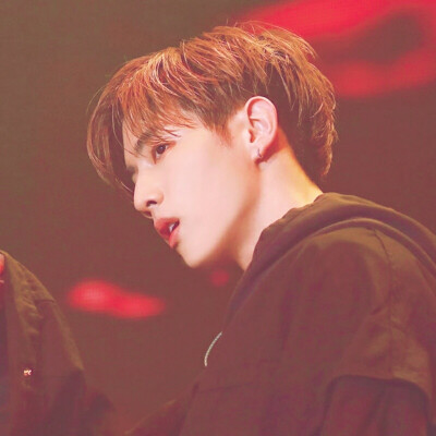 堆糖:不是你男友