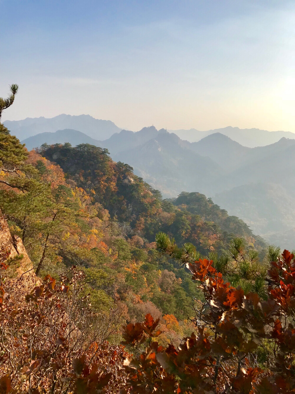 秋天 千山