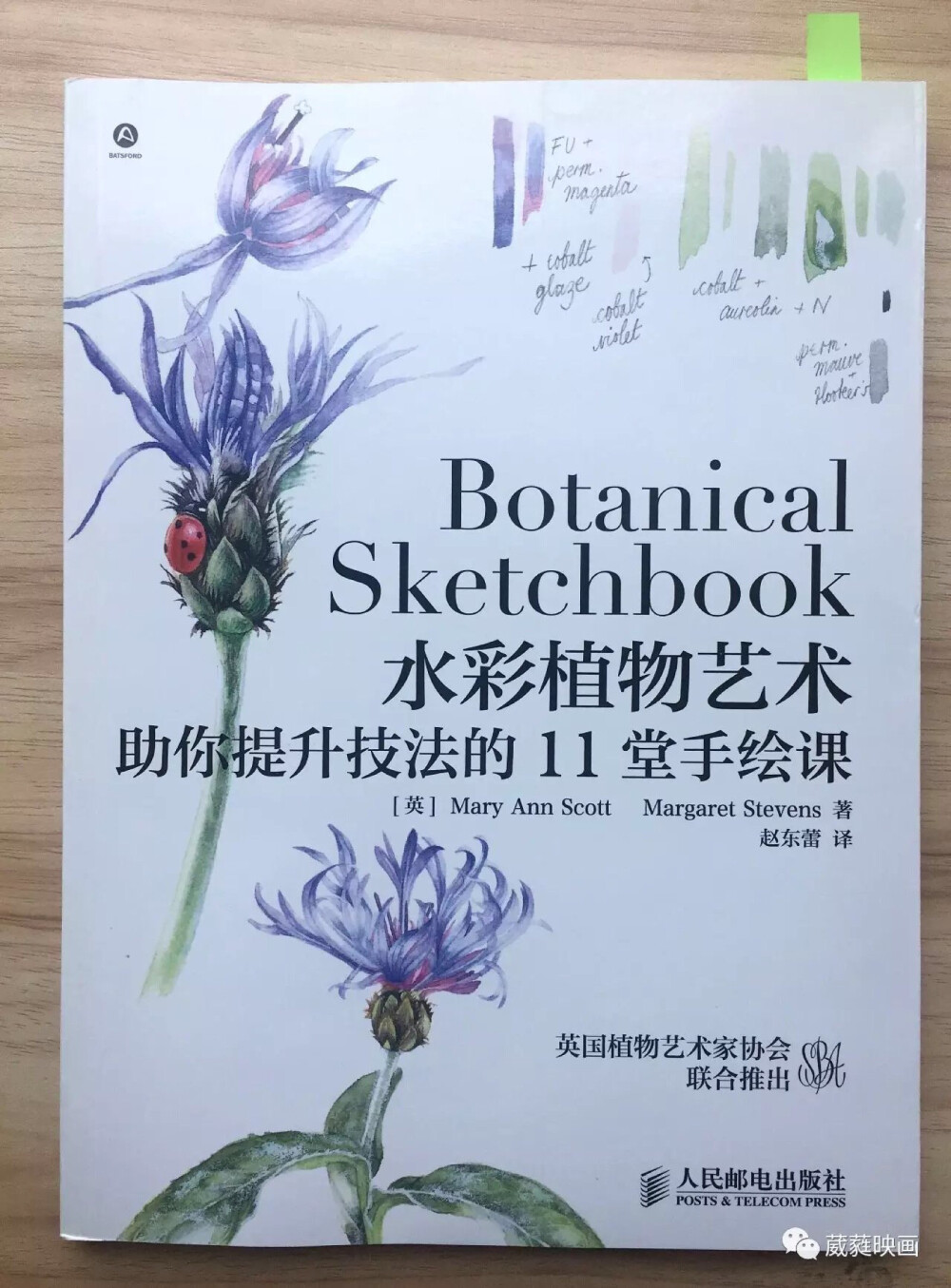 水彩植物艺术
助你提升技法的11堂手绘课