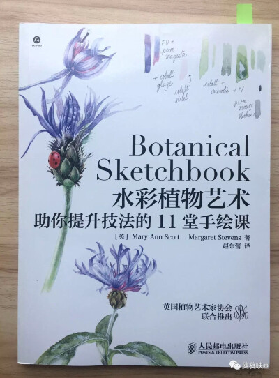 水彩植物藝術(shù)
助你提升技法的11堂手繪課