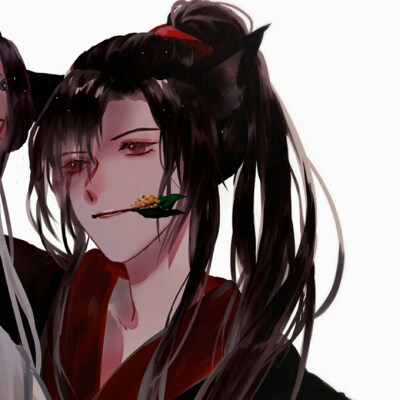 魔道祖师忘羡情头
