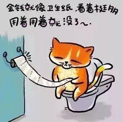 哲学猫