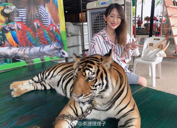 b站up主 茶理理理子 国人唱见