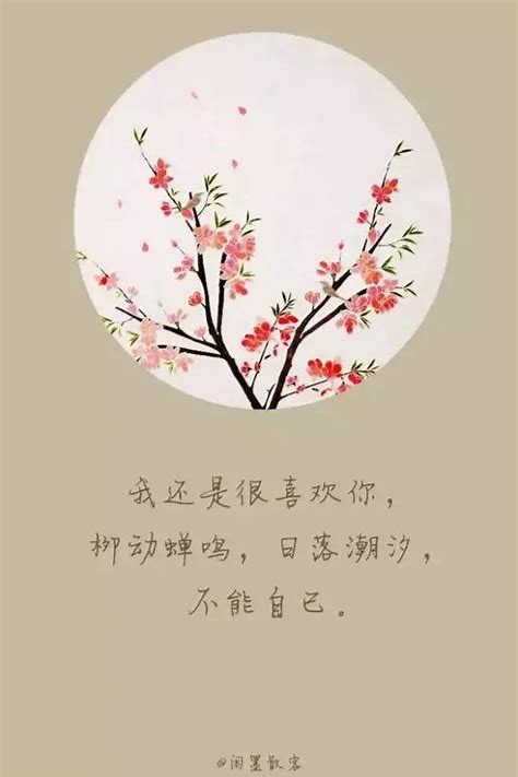 我还是很喜欢你