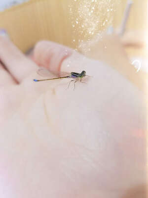 四下无人的街，随意飘零的灵魂