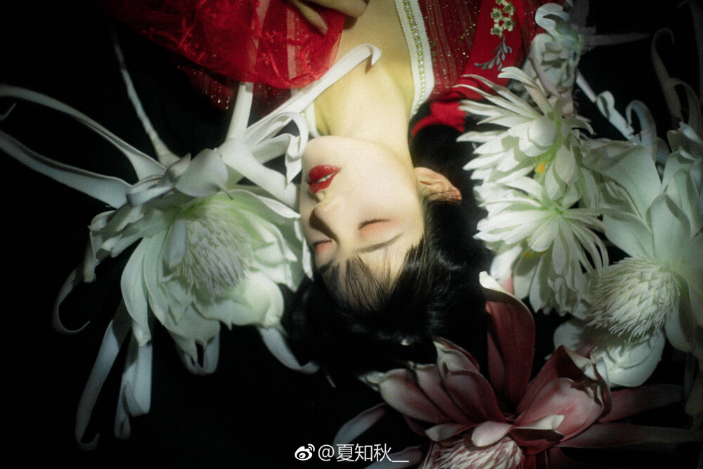 【昙花妖】
雨后昙花催暝色，坐来祇树起秋风
出镜仙女@夏弃疾_ @是夏夏的
摄影后期@夏知秋__
#南京约拍##摄影打卡##汉服摄影# ​​​