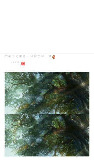 魔道祖师 魏无羡蓝忘机