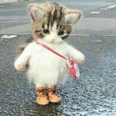 长大了的我们啊，真是个胆小鬼。