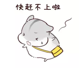 ♡小仓鼠