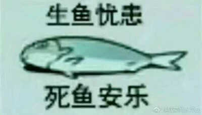 搞笑图片