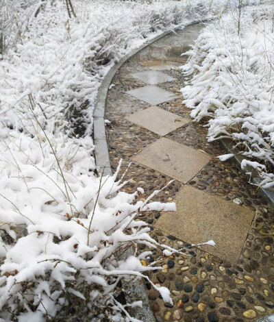 雪景