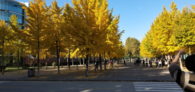 河北大学