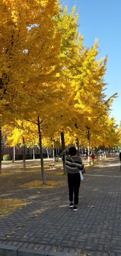 河北大学