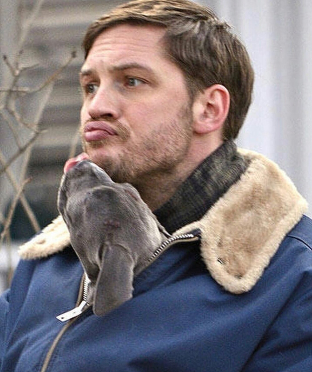 tom hardy 湯姆哈迪 湯甜