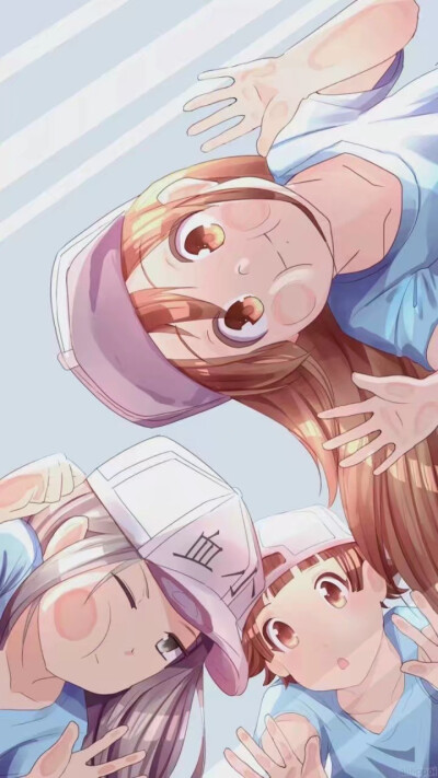 血小板 图片来源于网络