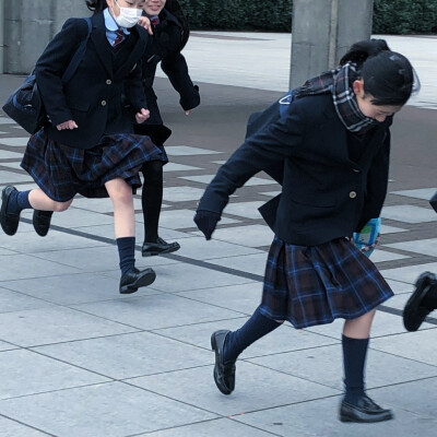 鲨聿