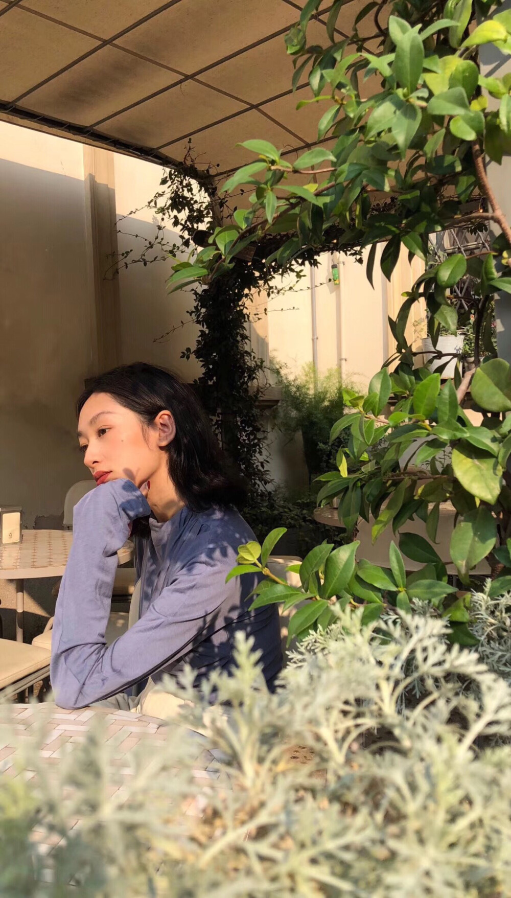 壁纸 点赞清除霉运
