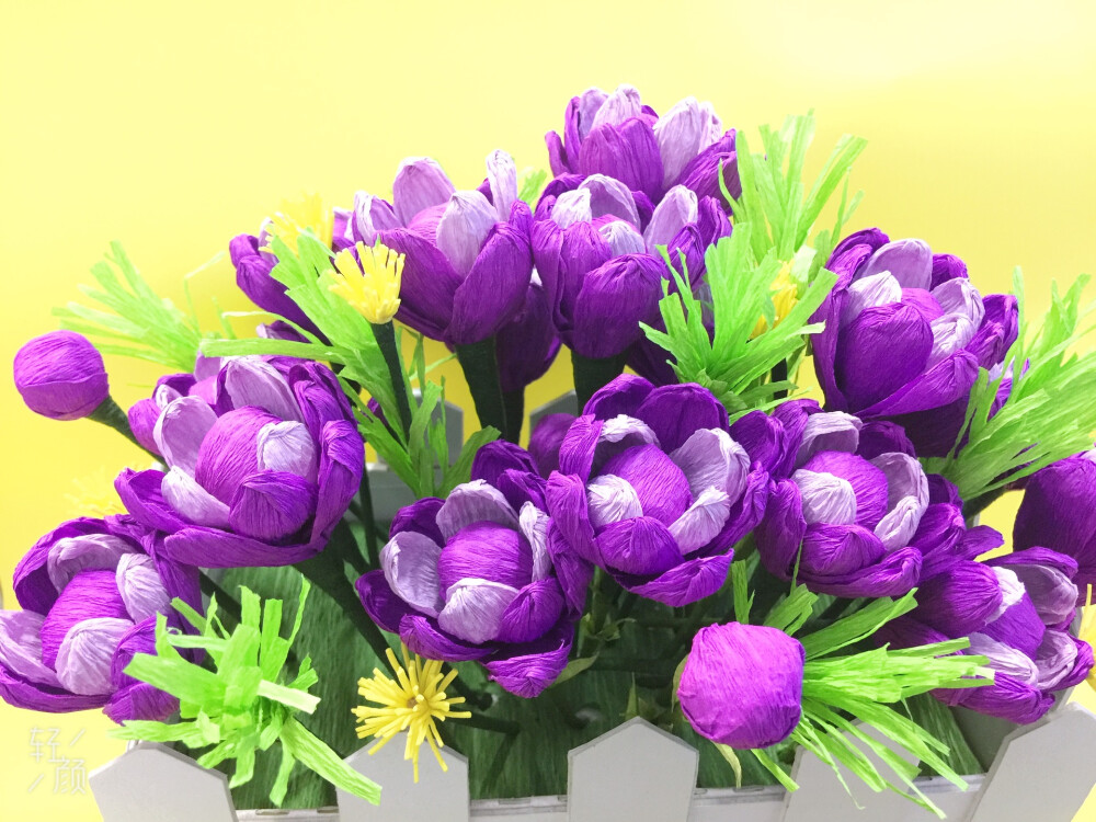 紫色花 巧克力包装花 改造 盆景 紫色 