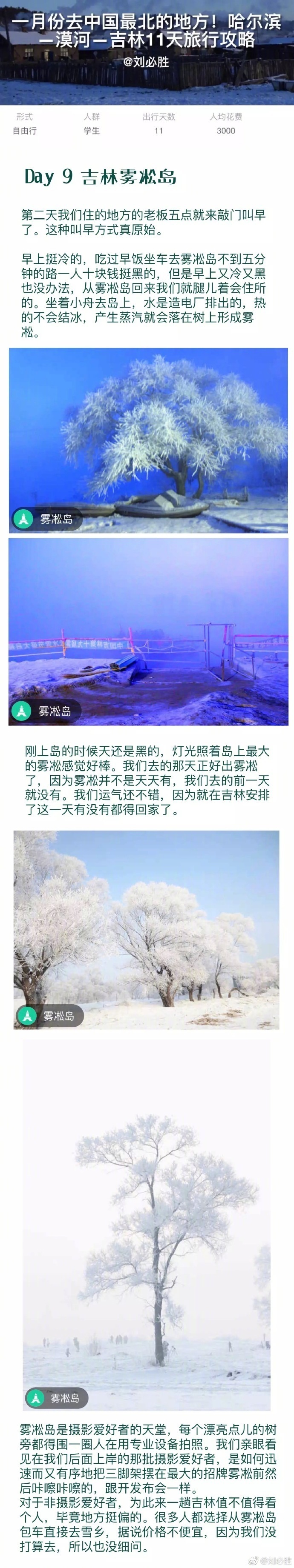 ❄️冬天旅行要么去最温暖的地方要么就去最冷的地方。奉上一份一月份的中国最北旅行攻略：哈尔滨、漠河、吉林雾凇岛11天，坐着绿皮火车去中国最北，学生党人均三千！p1:行前准备贴士p2-p4:哈尔滨旅行p5-p7:漠河旅行p8:吉林雾凇岛p9:后记作者：刘必胜