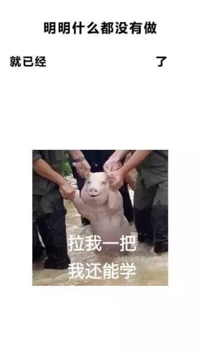 搞笑少女壁纸