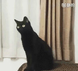 可爱表情包