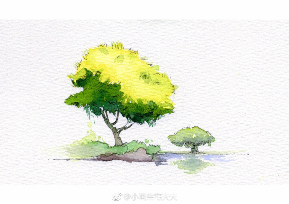 【钢笔淡彩教程】
九种植被表现方法分享给大家~
△ 画笔：马蒂尼松鼠毛
△ 颜料：荷尔拜因、史明克
cr:@小画生宅大夫
#手绘##钢笔淡彩##水彩##宅涂钢笔淡彩课程##跟着宅夫夫每日一画##宅在家里画手绘# ​​​​