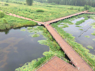 微山湖湿地红荷风景区