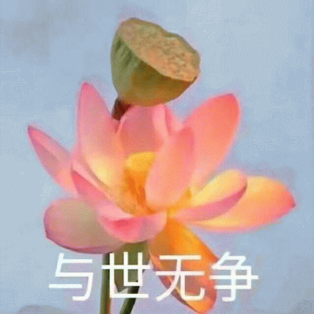 荷花 莲花 与世无争图 莫生气 头像