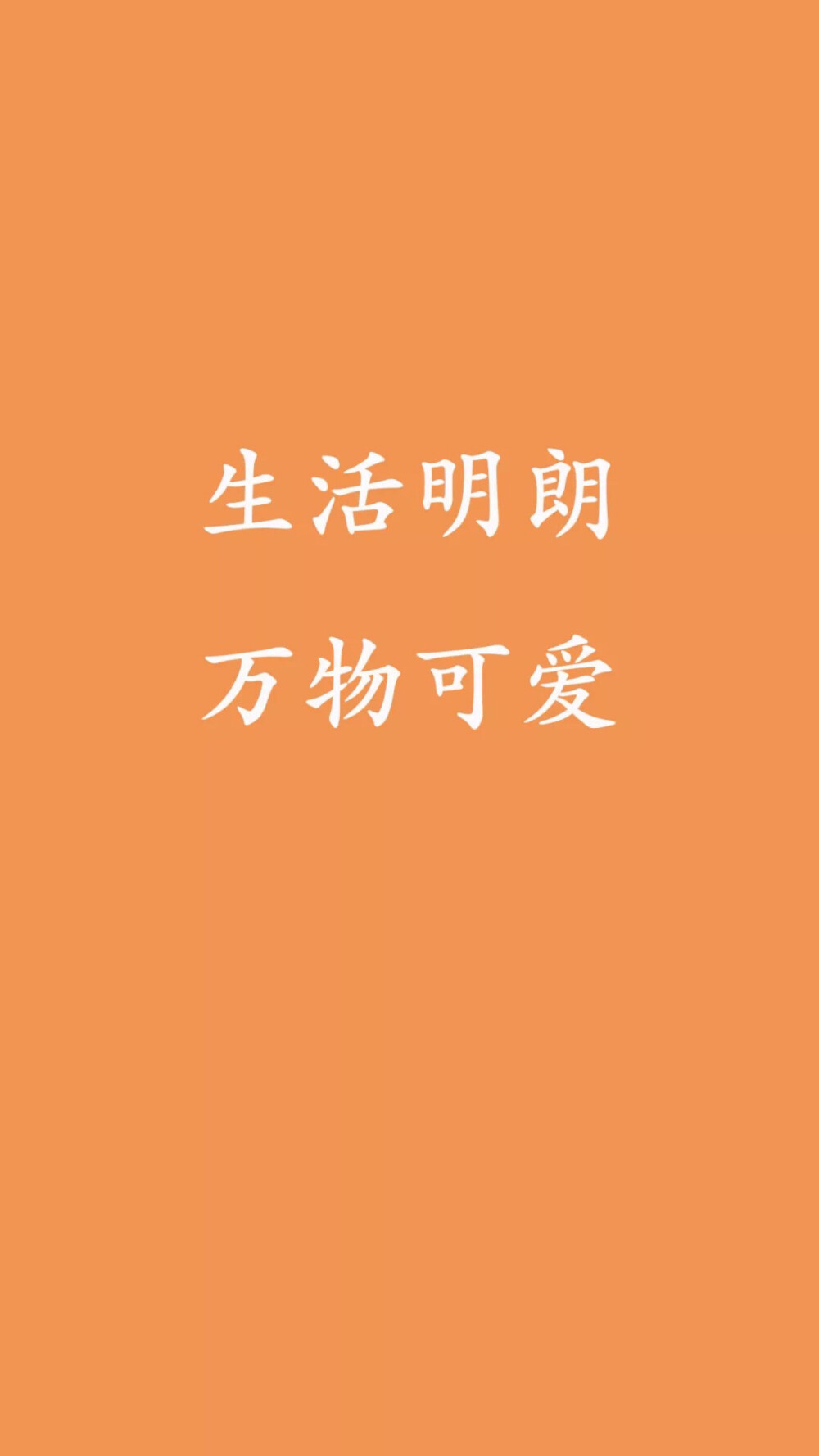 今日份橙色壁纸