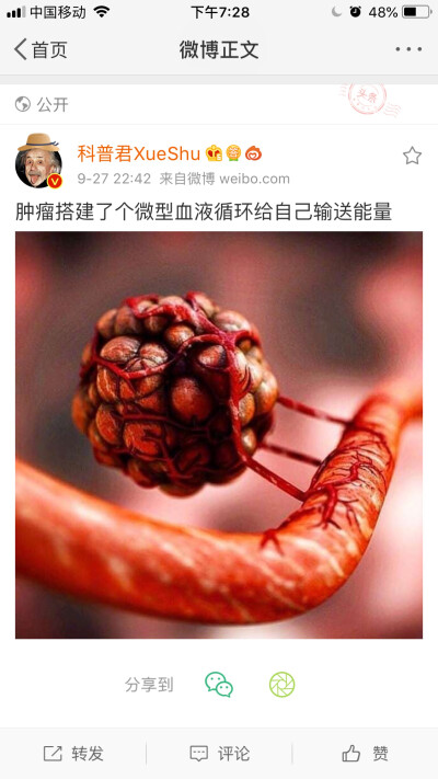 美术课