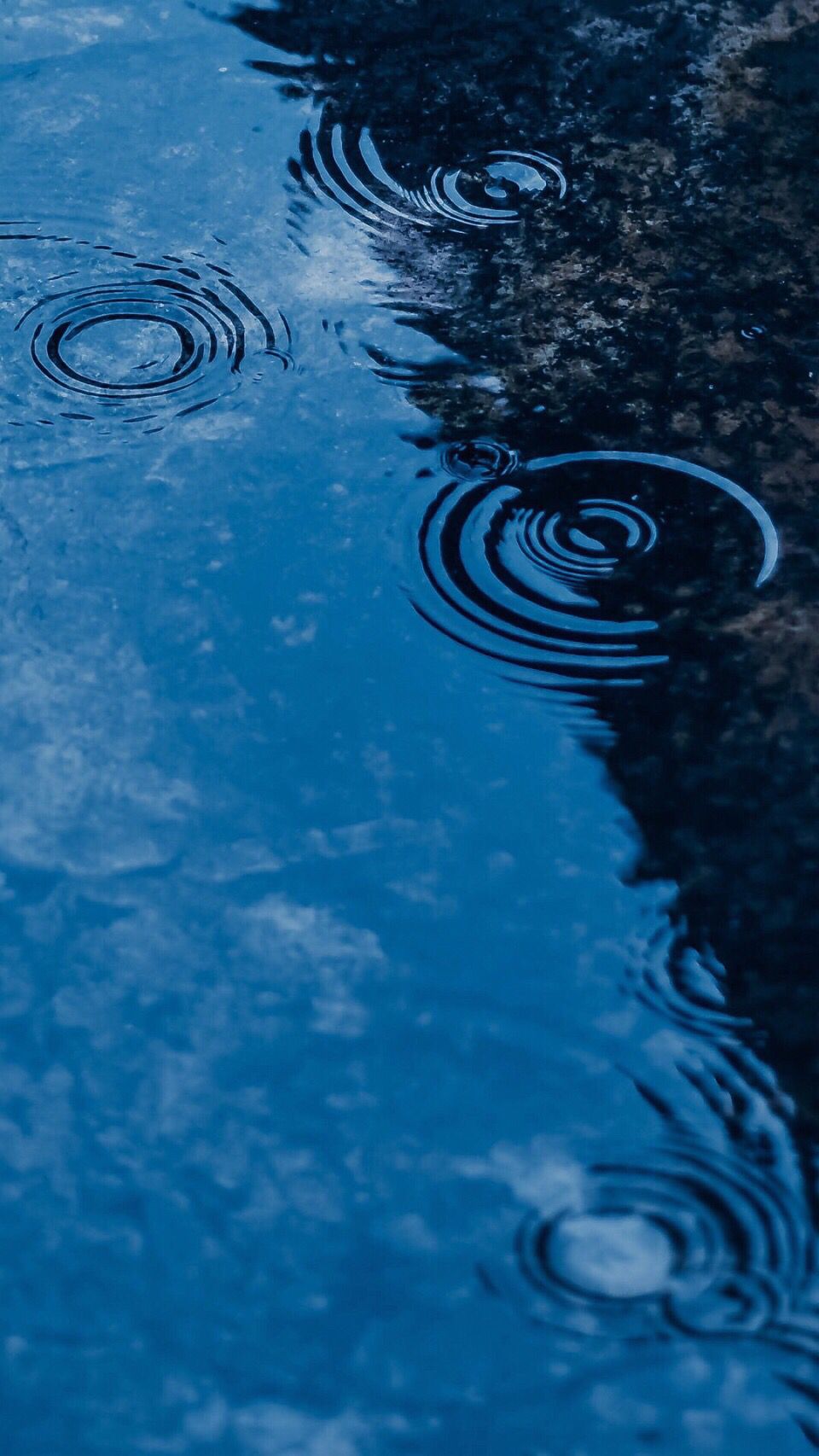 一场秋雨一场寒