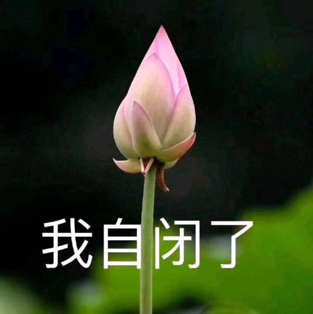 搞怪头像