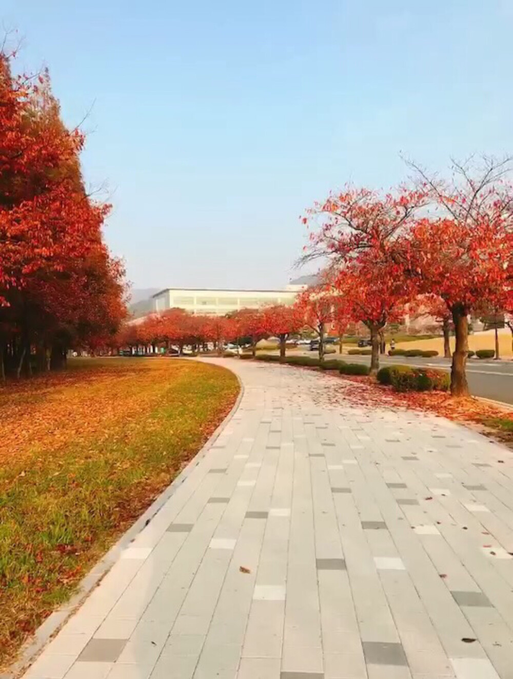 韩国、秋天。点心。梨花女子大学