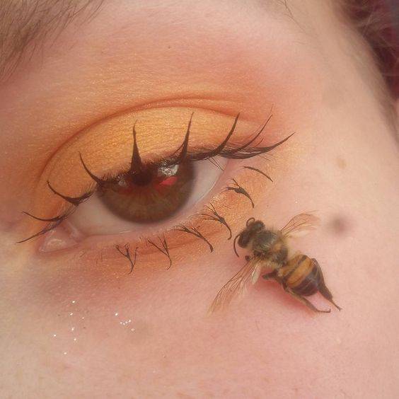 你眼里的浩瀚星辰