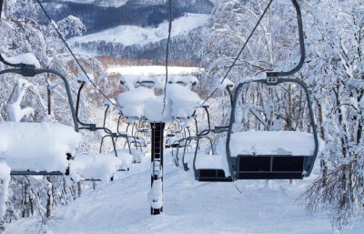 这个冬天，带上喜欢的人一起去北海道看雪吧。❄️