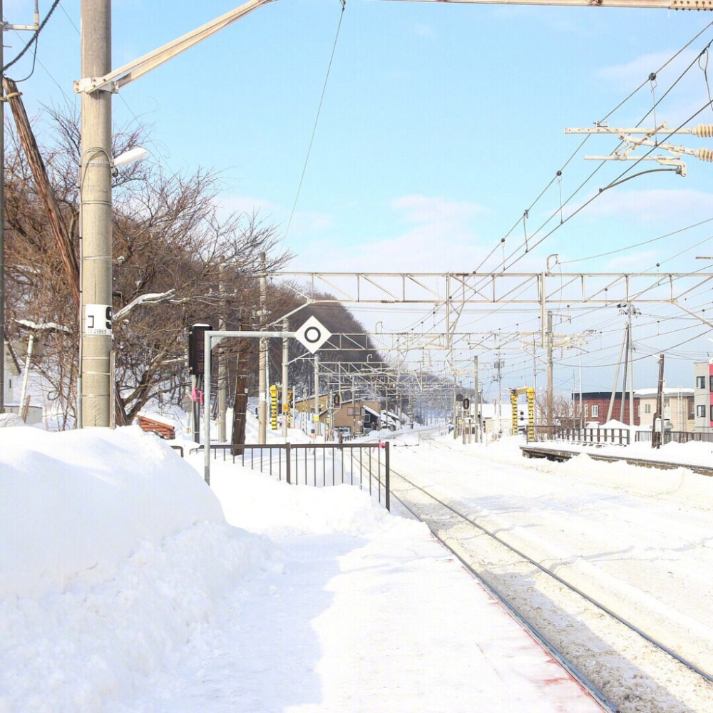 这个冬天，带上喜欢的人一起去北海道看雪吧。❄️