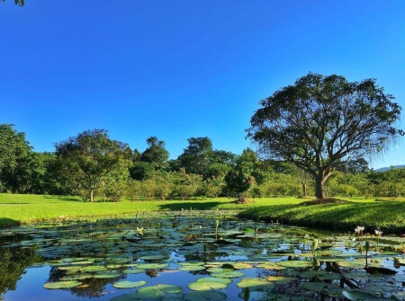 中科院西双版纳热带植物园