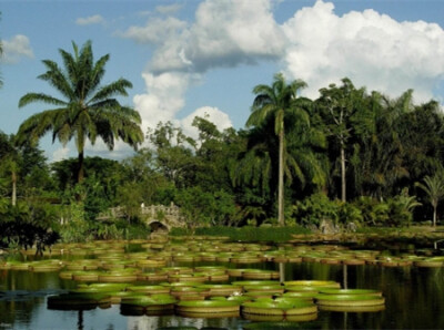 中科院西双版纳热带植物园