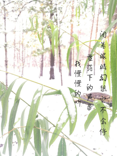 漫天的雪无情谁来赔这一生好光景