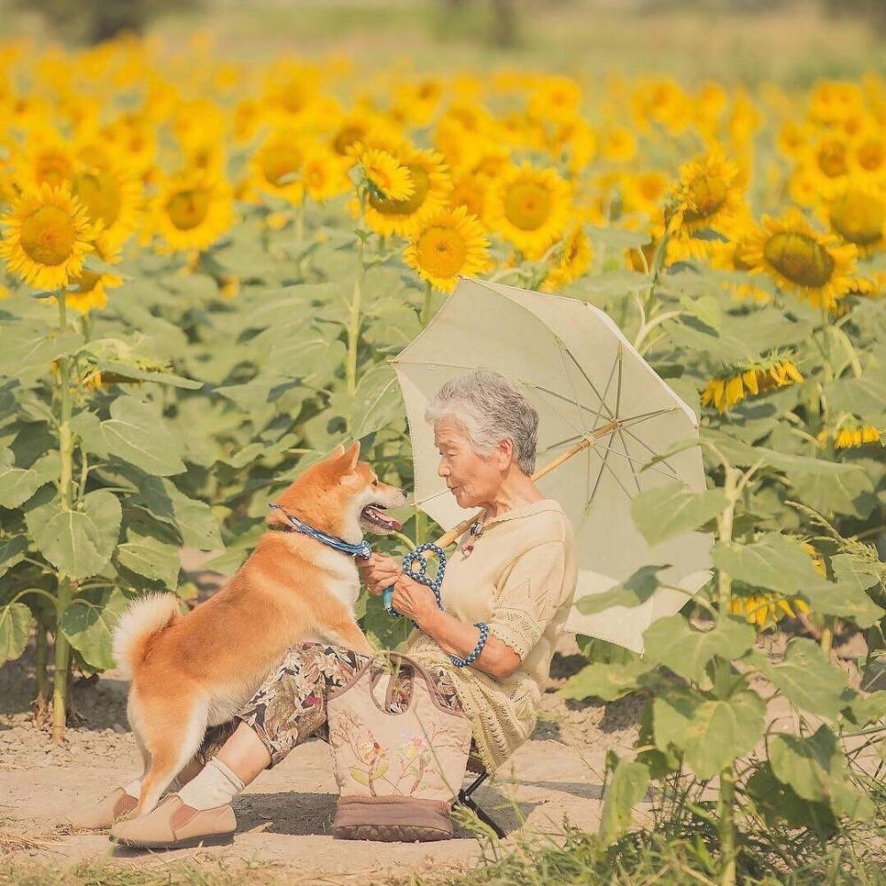 日本摄影师Yasuto拍摄了自家奶奶和柴犬阿福在郊外的照片