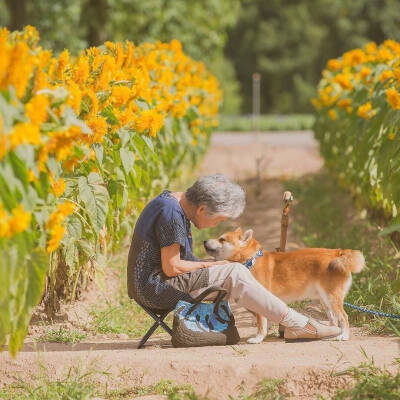 日本摄影师Yasuto拍摄了自家奶奶和柴犬阿福在郊外的照片