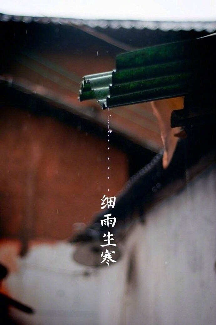 〖 中国节气 · 立冬 〗 --- “ 寒风乍起，枫叶满阶，万物收藏。细雨生寒，蛰虫休眠。窗前負暄，逐光暖行。橙红橘黄，寒炉煮茶。