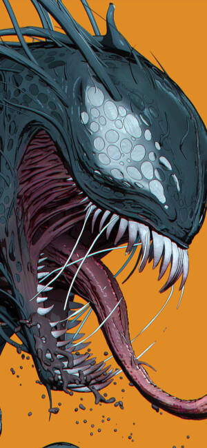 kohh 七哥 背景图